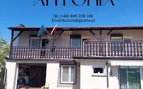 Domki Letniskowe i pokoje Antonia
